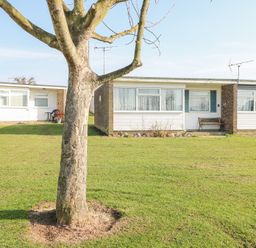A tree in front of two single-storey houses with grass lawns at Chalet 21 in Newport Norfolk