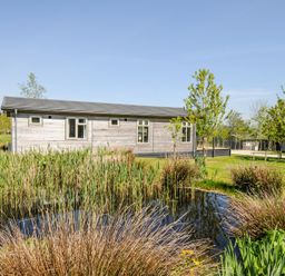 A wooden cabin by a pond with reeds and trees on a grassy lawn at 17 Meadow Retreat in Dobwalls