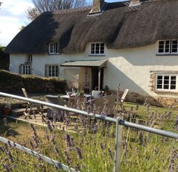 An outdoor area with a thatched roof house and a table with chairs at Westacombe Farm Dunsford near Tedburn St Mary