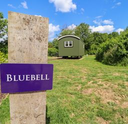 A sign for Bluebell in front of a green hut at Bluebell in Grimsby