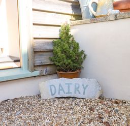 A small potted plant and a concrete sign with the word dairy on gravel outside a light-colored building at The Dairy at Wyke Farm Wyke near Lyme Regis