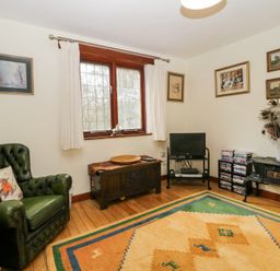 A sitting room with a green armchair a wooden chest a television and a rug at Wringford Farm Annexe Rame near Kingsand