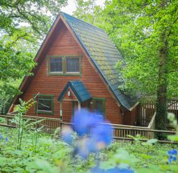 A house surrounded by trees at Lodge 68 - Fern Gully near Finlakes Holiday Park