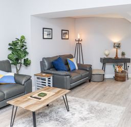 A living room with two gray sofas with cushions a wooden coffee table a side table a plant two framed pictures on the wall a floor lamp a dark console table with a globe lamp and basket at Daly's Place in Ballyporeen County Tipperary