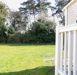 A grassy yard with trees and shrubs next to a white railing of a building at 4 Foxburrow Hang in Fritton near Belton Norfolk