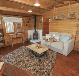 A living room with a sofa and fireplace at The Lodge 