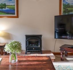 A living room with a television and a fireplace at Beechwood in Wood Norton