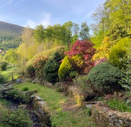 A garden with various trees and bushes at High Cross in Keswick