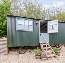A green corrugated metal shepherd hut with a half open door and stairs in front at Oak Shepherd Hut Monkton Wyld near Charmouth