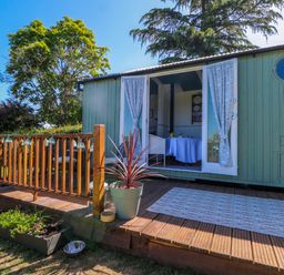 A small green wooden cabin with open double doors and curtains with a wooden deck and potted plant outside at Songbirds in St Michaels Kent