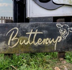 A wooden sign with the word Buttercup and a cow face on grass at Buttercup Cow Shed 3 in Easton near Campsea Ashe