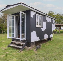 A small black and white cabin with cow pattern opens on a grassy field with picnic tables at Dozy Dotty Cow Shed 4 Easton near Campsea Ashe