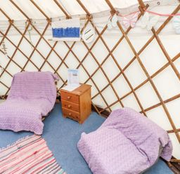 Two chairs covered with purple blankets with a wooden nightstand between them inside a yurt at Moonlight in Ventnor