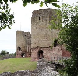 A stone castle ruin with round towers on a grass hill surrounded by trees