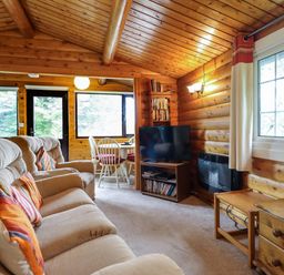 A living room with a sofa and television at Y Bwthyn Pren, Cabin 209, Trawsfynydd