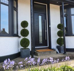 Front entrance with black door flanked by two potted three-tier topiary plants and purple flowers in front of the step at Bronallt in Cemaes Bay