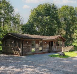 A wooden lodge surrounded by trees with a gravel driveway at Cedar Lodge in Rosliston