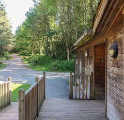 A wooden cabin porch with railings next to a gravel path and surrounded by trees at Cedar Lodge in Rosliston