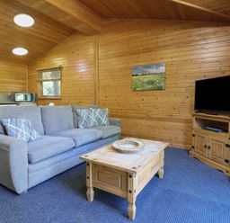 A living room with a gray sofa wooden coffee table television on a stand and wooden walls at Cedar Lodge in Rosliston