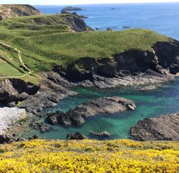 A cliffside view of water and shoreline at The Tree House Nine Wells near Solva