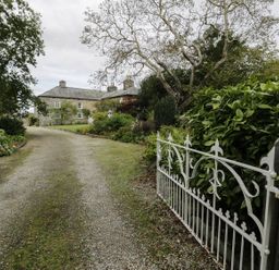 A gravel path leading to a house surrounded by trees and bushes at Bwthyn Canol in Llanfair