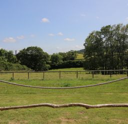 A view of a green field with trees and a fence at Owl's Hollow Chapel Lawn near Clun