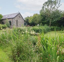 A garden with a stone house and plants at The Dovecote in Llanychaer near Fishguard