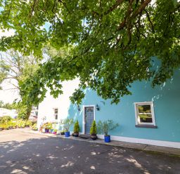 A house with a blue wall and plants in pots at Ash House in Ballyvaughan