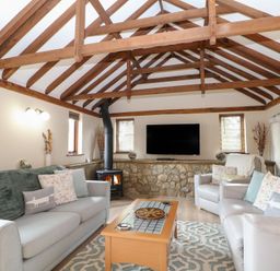 A living room with a television and fireplace at WEST LODGE in Ashford