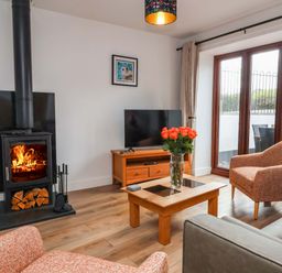 A living room with a stove and television at Butterfly Days in Bideford