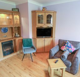 A living room with a fireplace and television at Kathleens Cosy Apartment in Galway