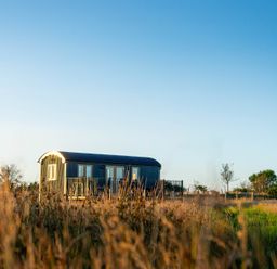 A shepherd's hut in a grassy field at Head For the Hills Glamping - Skylark Shepherd's Hut