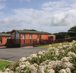 An outdoor view of log cabins and flowering shrubs at Cody Cottage Lodge Mullacott Park near Ilfracombe
