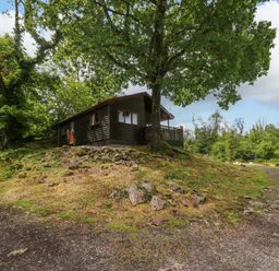 A cabin surrounded by trees and a rocky path at Oak Lodge in Mynydd Cerrig near Porthyrhyd