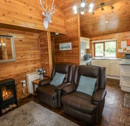 A living room with a sofa and fireplace at Oak Lodge in Mynydd Cerrig near Porthyrhyd