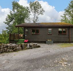 A log cabin with trees and a planter at Ash Lodge in Mynydd Cerrig near Porthyrhyd