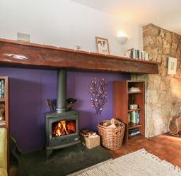 A living room with a wood stove and bookshelf at Neuadd Wen Gaerwen