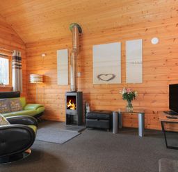 A living room with a fireplace and seating area at Trevano in St Breward
