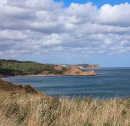 A coastal view with hills and water at Floraville
