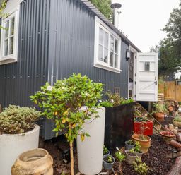 A hut with steps and garden pots at Shepherd's Hut in Perranarworthal