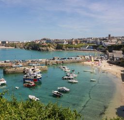 A view of the harbor with boats and beach at Higher Tower Road