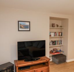 A living room with a television and shelves with books and games at Starlight Cottage 