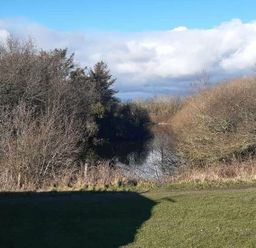 a view of a river surrounded by trees and grass at Hafan y Mor Haven - Holiday Accommodation 10104 Pwllheli