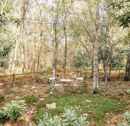 a small outdoor seating area with two white chairs and a table surrounded by trees at Kelling Heath Holiday Park - Holiday Accommodation 20958 Weybourne