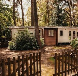 a cabin surrounded by trees and greenery at Kelling Heath Holiday Park - Holiday Accommodation 21026 in Kelling Heath