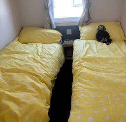 a room with two beds covered in yellow star-patterned bedding at Greenacres Holiday Park - Holiday Accommodation 21467, Morfa Bychan