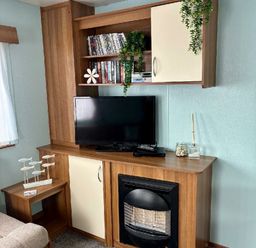 a TV unit with a television, shelves of DVDs, and decorative plants at Valley Farm Holiday Park - Holiday Accommodation 22153 in Clacton-on-Sea