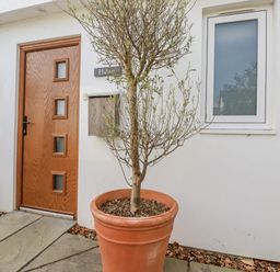 An entrance with a door, window, and plant at Hillbre in Trevone