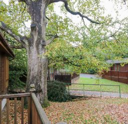 Property photo 3 of 46