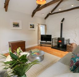 A living room with a television and wood stove at Secret Garden Cottage in Ciliau Aeron near Aberaeron